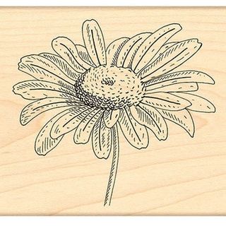 Penny Black Rubber Stamp 3.25x3.5in graceful