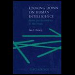 Looking Down on Human Intelligence