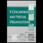 E Collaborations and Virtual Organizations