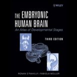 Embryonic Human Brain  An Atlas Of Developmental Stages