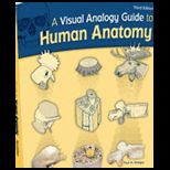 Visual Analogy Guide to Human Anatomy