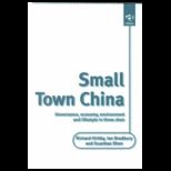 Small Town China Governance, Economy
