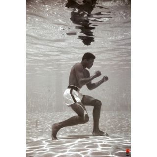 Art   Ali Underwater Poster