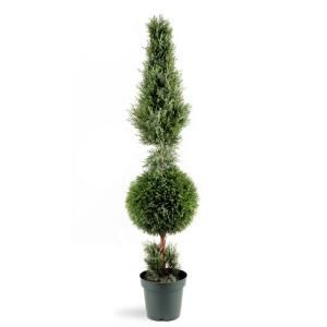 National Tree Company 60 in. Juniper Cone and Ball Topiary Tree in Green Round Plastic Pot LCYT4 700 60