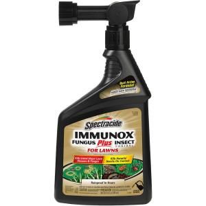 Spectracide Immunox 32 fl. oz. Ready to Spray Concentrate Fungus Plus Insect Control for Lawns HG 96187