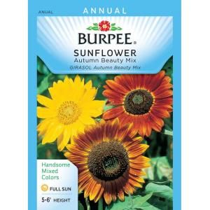 Burpee Sunflower Autumn Beauty Mix Seed 49601
