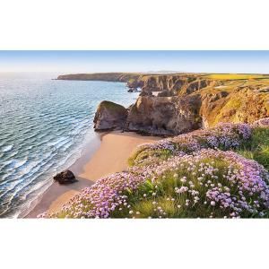 Ideal Decor 50 in. x 0.25 in. Nordic Coast Wall Mural DM382