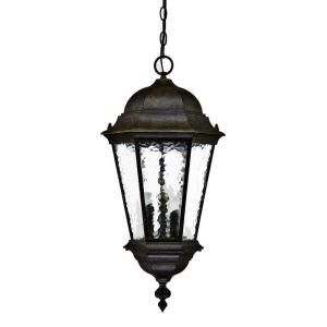 Acclaim Lighting Telfair Collection Hanging Outdoor 3 Light Black Coral Light Fixture 5526BC