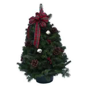 Worcester Wreath 18 in. Highland Fresh Balsam Tabletop Tree Arrangement : Sold Out for the Season   DISCONTINUED HT18 WK7