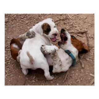 Wrestle Playing American Pit Bull & Basset Hound Print