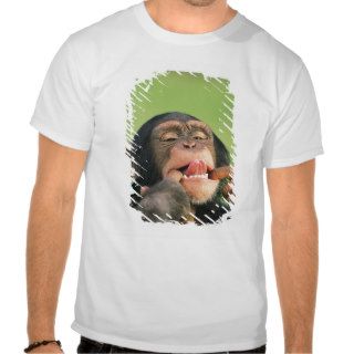 Chimpanzee T shirt