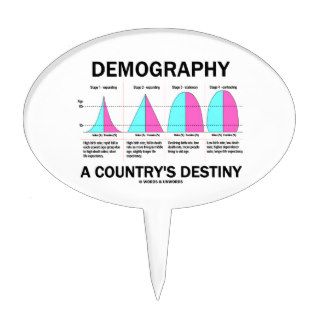 Demography A Country's Destiny Oval Cake Pick
