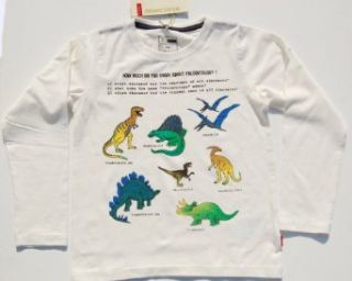 Name it Jungen Langarm Shirt Dinosaurier / Bio Baumwolle ELO 13082012 CLOUD Gr.122/128: Bekleidung