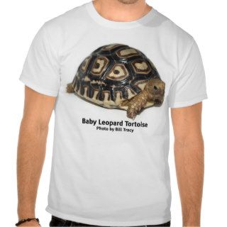 Baby Leopard Tortoise Shirt