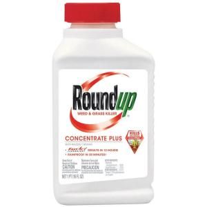 Roundup 16 oz. Concentrate Plus Weed and Grass Killer 5005510