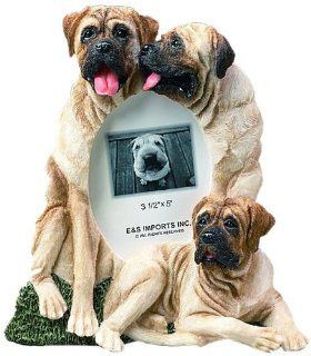 E&S Pets 35257 116 Large Dog Frames : Pet Memorial Products : Pet Supplies