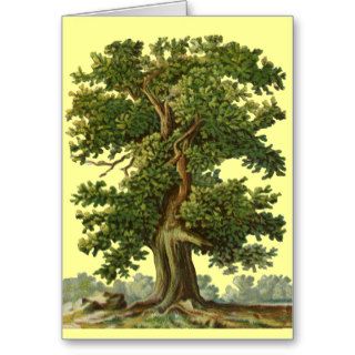 Vintage Oak Tree Art Blank Card