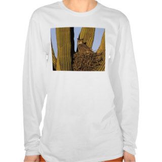 NA, USA, Arizona, Tucson. Great horned owl on Shirts