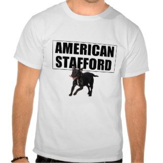 American Stafford T Shirt