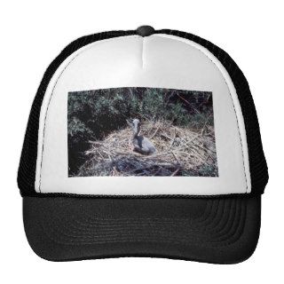 Young Brown Pelican in Nest Mesh Hats