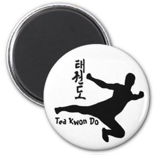 Tae kwon do magnet
