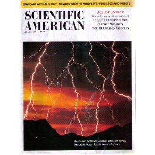 Scientific American Magazine August 1997 (Volume 277 Number 2): Books