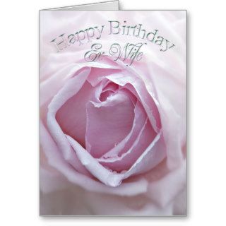 Ex wife, Birthday card with a pink rose