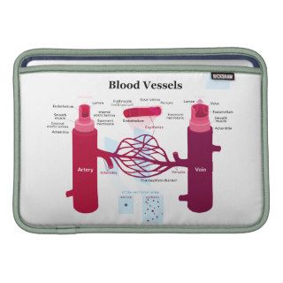 Blood Vessels Arteries Capillaries Veins Diagram Sleeve For MacBook Air