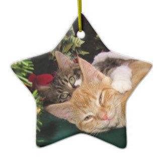 Christmas Cats, Cute Kittens Hugging, Kitty Smile Christmas Tree Ornament