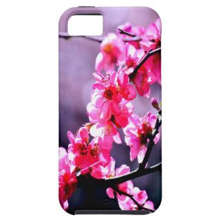 pinks flowers beauty and peace iPhone 5 covers