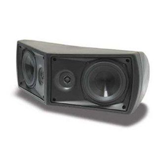 SpeakerCraft WS940 Weather Craft Indoor / Outdoor Speakers, Black, 2 x 13,3 cm Polypropylene Cone Woofer: Electronics