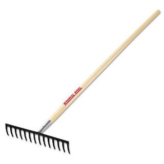Ames True Temper Level Head Rake with 60 Inch with Chrome Ferrule 1853000 (Discontinued by Manufacturer) : Patio, Lawn & Garden