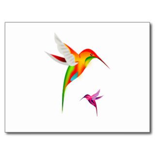 Beutiful Hummingbirds, Colibri Post Card