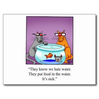 Funny Cats Cartoon Gift! Post Cards