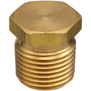 Parker Brass Pipe Fitting, Hex Head Plug, 1/2" NPT Male: Industrial Pipe Fittings: Industrial & Scientific