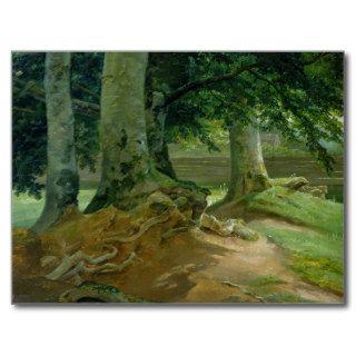 Beech Trees in Frederiksdal near Copenhagen Post Cards