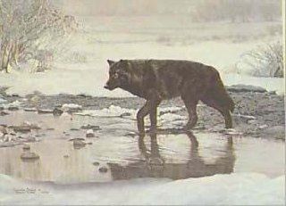 Charles Frace   Wanderer Gray Wolf   Limited Edition Print  
