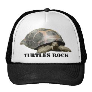 Turtles Rock Hat