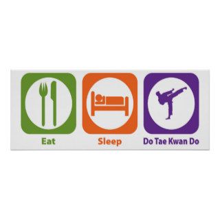 Eat Sleep Do Tae Kwan Do Posters
