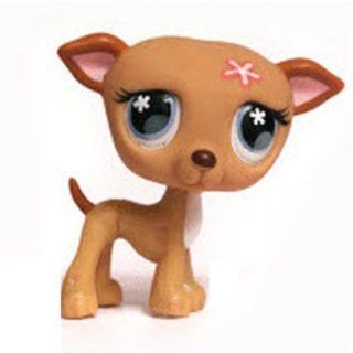 Whippet Greyhound Puppy Dog # 498 (tan with bluish grey eyes)   Littlest Pet Shop Replacement Figure Loose Retired LPS Collector Toy (Out Of Package/OOP) 