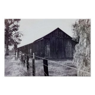 Country Collection   Standing Alone Print