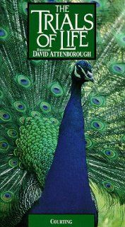 Trials of Life: Hosted By David Attenborough: Courting [VHS]: David Attenborough, Michael Gunton: Movies & TV