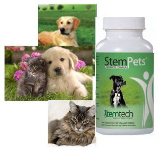 2 pak StemPets stem pets : Pet Bone And Joint Supplements : Pet Supplies