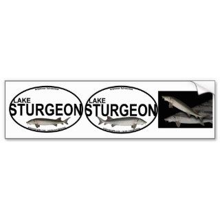 Lake Sturgeon Bumper Stickers