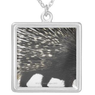 Porcupine quills necklace