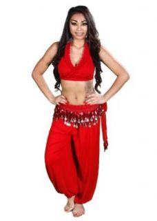 Belly Dance Top, Pants & Hip Scarf Costume Set  Lace and Leaf   Red/Silver Clothing
