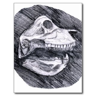 Skull drawing imaginary animal sketch post card