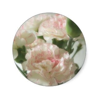 Almost White Carnations 6 Stickers