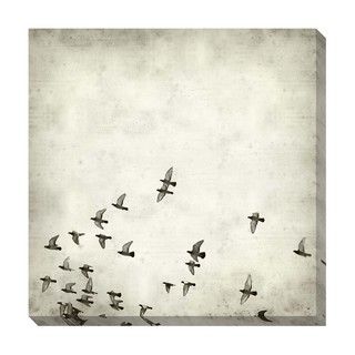 Fly Black and White Oversized Gallery Wrapped Canvas Canvas
