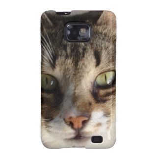 Tabby Cat Kitten Giving Eye Contact Samsung Galaxy SII Cover